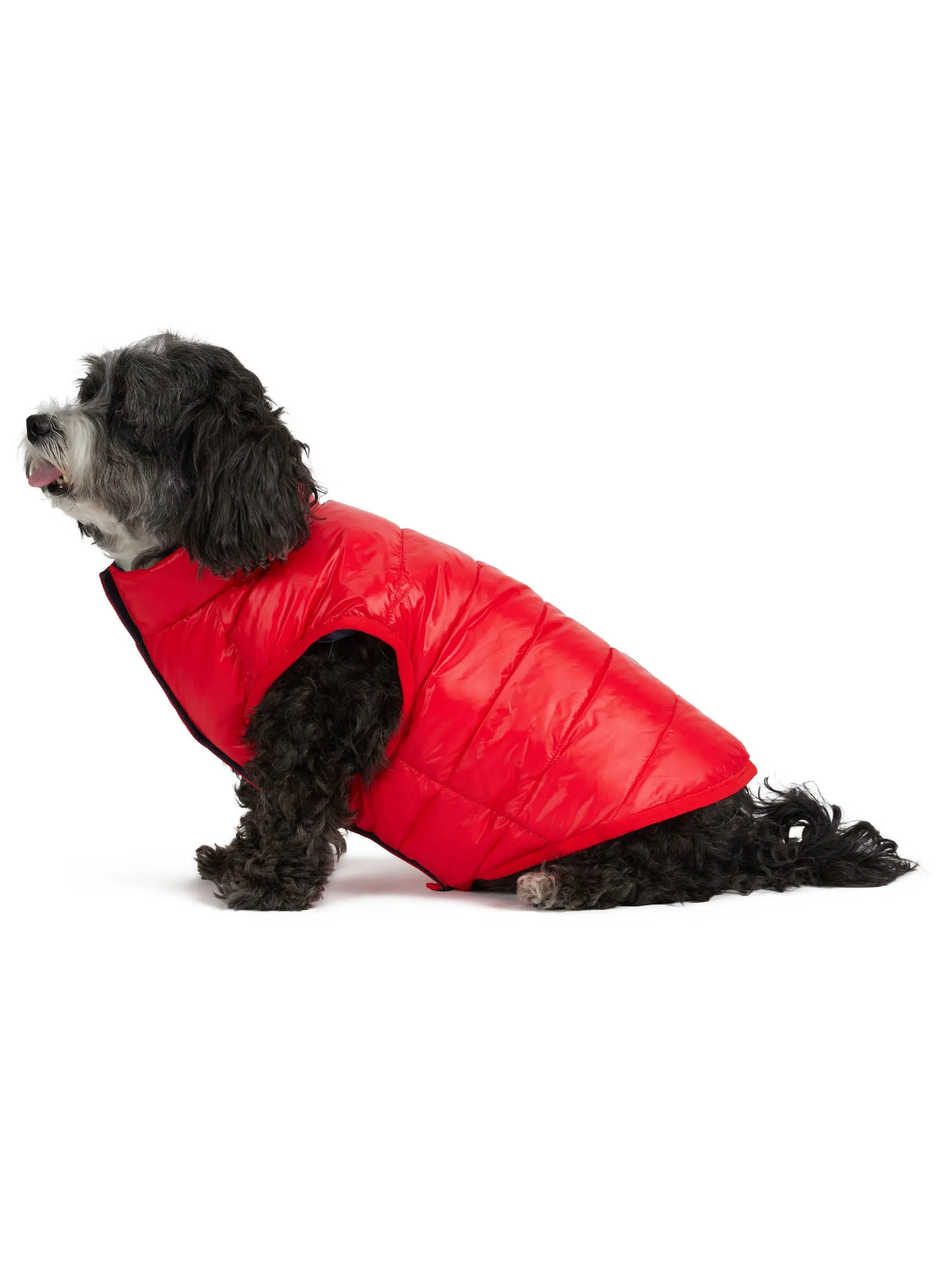 Pajar Pup Cora Reversible Packable Puffer