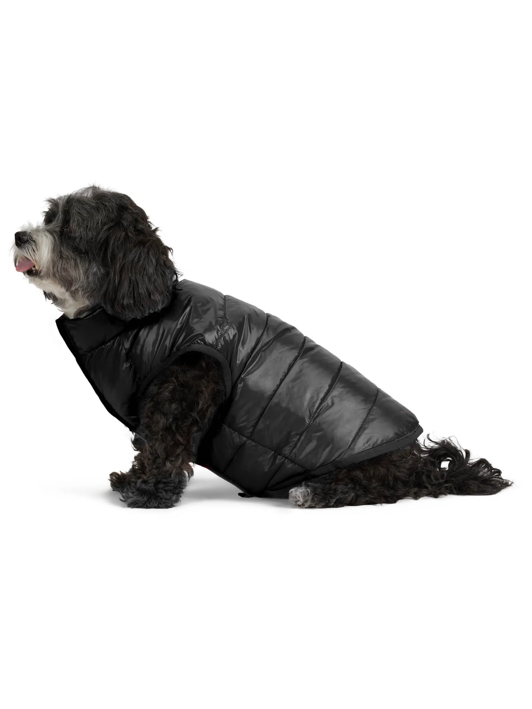 Pajar Pup Cora Reversible Packable Puffer