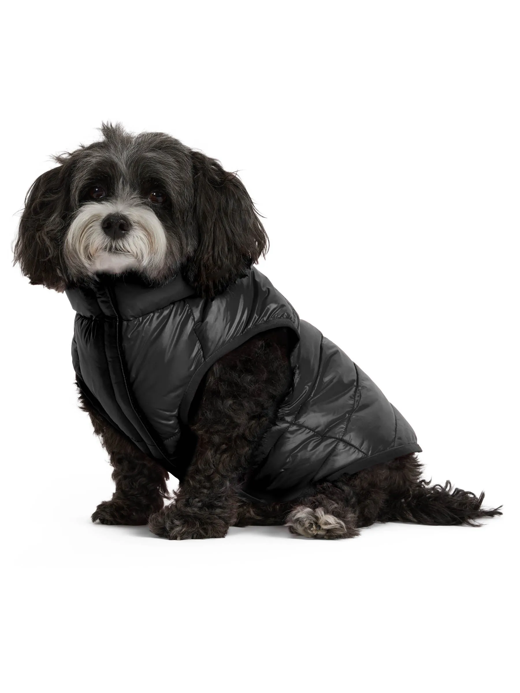 Pajar Pup Cora Reversible Packable Puffer