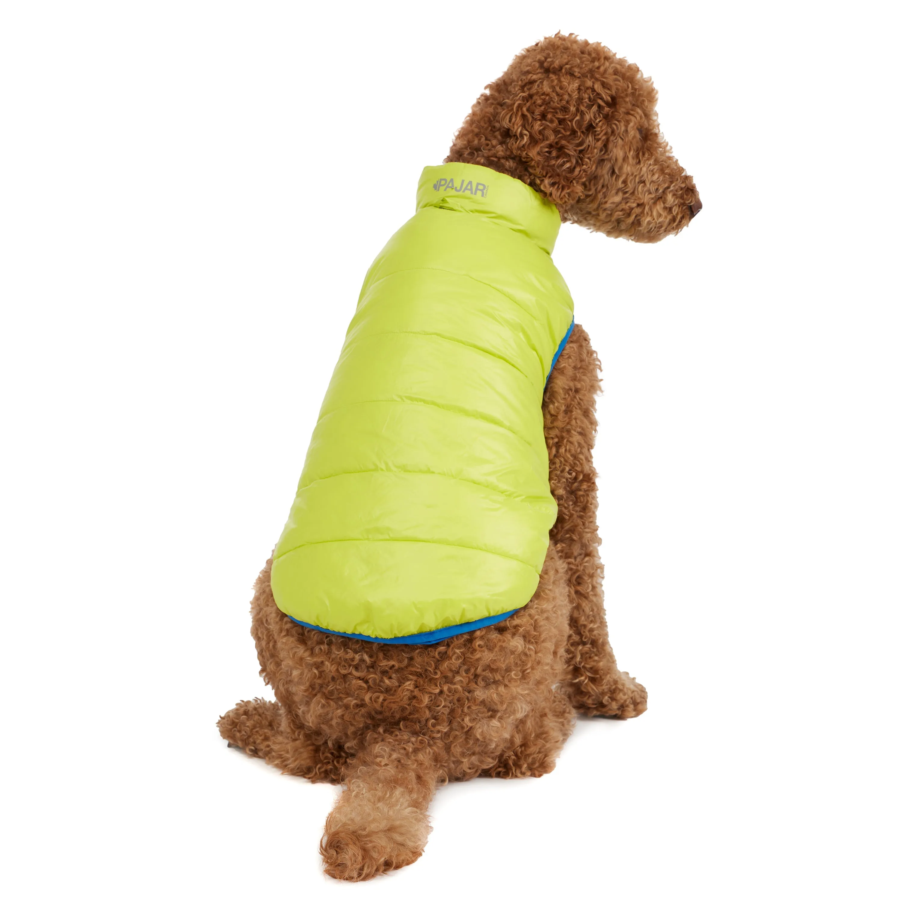 Pajar Pup Cora Reversible Packable Puffer