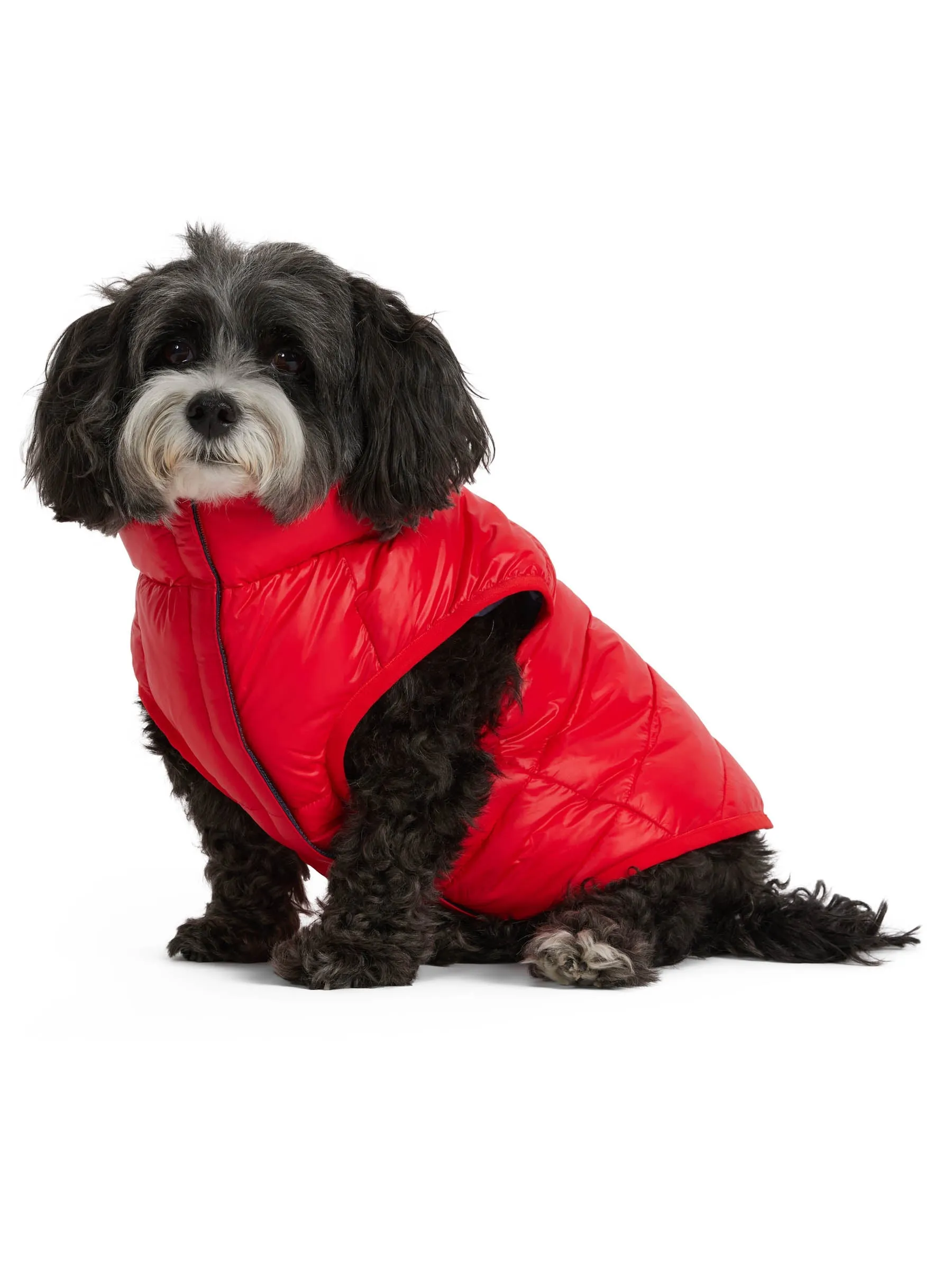 Pajar Pup Cora Reversible Packable Puffer